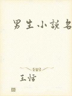 男生小说名字