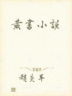 黄书小说