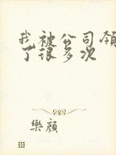我被公司领导C了很多次