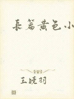 长篇黄色小说