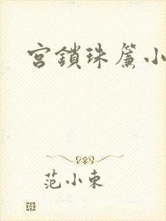 宫锁珠帘小说