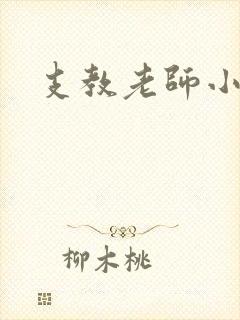 支教老师小说