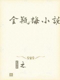 金瓶梅小说