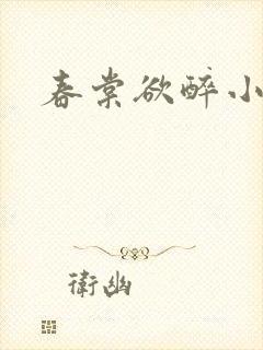 春棠欲醉小说