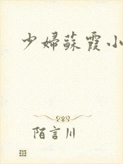 少妇苏霞小说封面