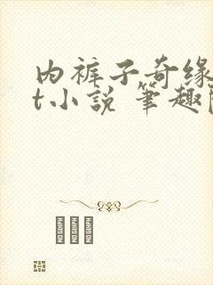 内裤子奇缘txt小说 笔趣阁封面