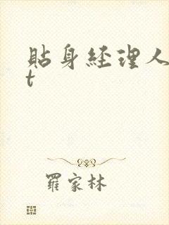 贴身经理人txt