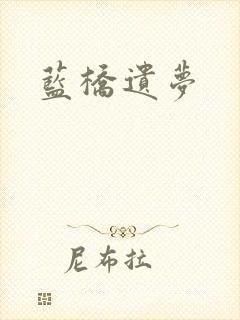 蓝桥遗梦