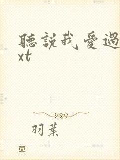 听说我爱过你txt