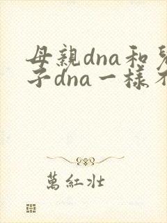 母亲dna和儿子dna一样不封面