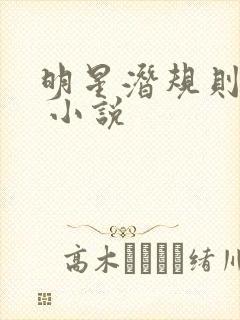 明星潜规则之皇 小说