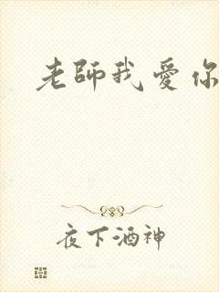 老师我爱你封面