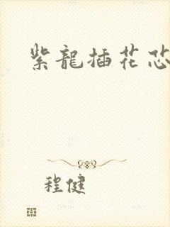 紫龙插花芯封面