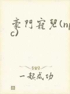 豪门宠儿(npc)