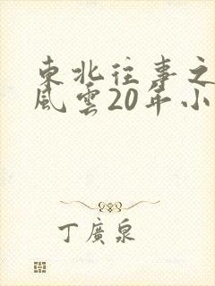 东北往事之黑道风云20年小说