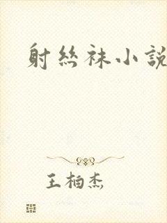 射丝袜小说