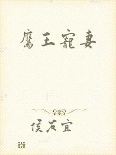 鹰王宠妻封面