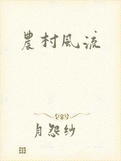 农村风流封面