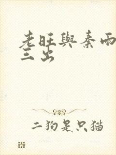 老旺与秦雨三进三出