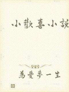 小欢喜小说封面