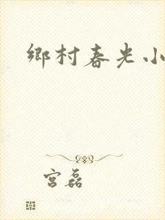 乡村春光小说封面