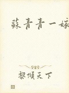 苏青青一嫁三夫封面