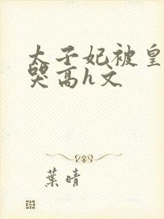 太子妃被皇上c哭高h文封面
