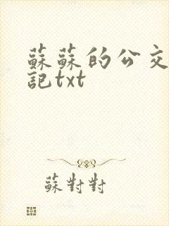 苏苏的公交车日记txt