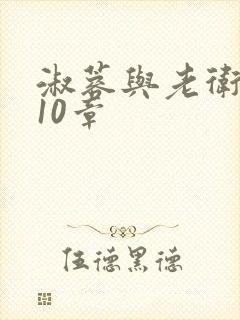 淑蓉与老卫1-10章封面
