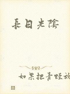 长日光阴封面