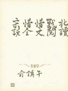 宋惜惜战北望小说全文阅读