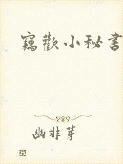 窃欢小秘书