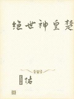 绝世神皇楚风封面