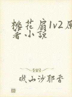 桃花扇1v2原著小说封面