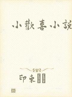 小欢喜小说封面