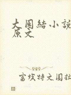 大团结小说阅读原文