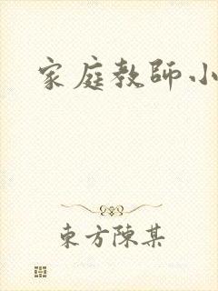 家庭教师小说