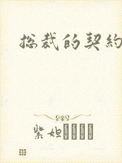 总裁的契约妻