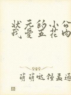 状元的小公主(我爱五花肉)
