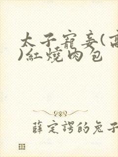太子宠妾(高肉)红烧肉包封面