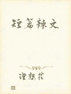 短篇辣文封面