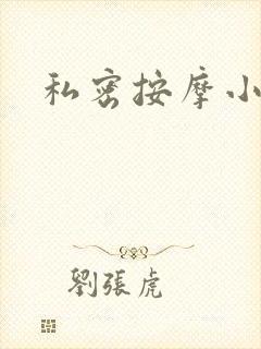 私密按摩小说