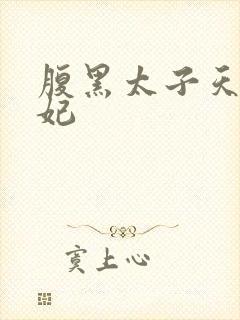 腹黑太子天降萌妃