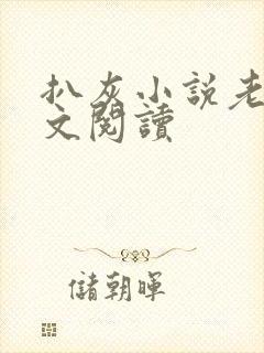 扒灰小说老马全文阅读封面