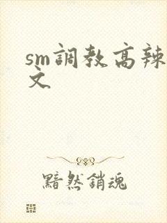 sm调教高辣h文