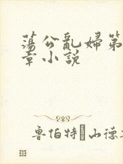 荡公乱妇第51章小说