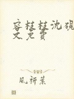 容枝枝沈砚书全文免费