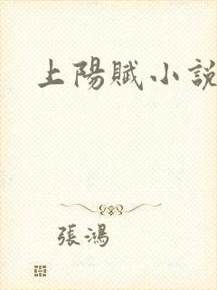 上阳赋小说