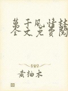 万千风情林小涛全文免费阅读封面