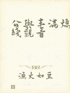 公与丰满熄4在线观看